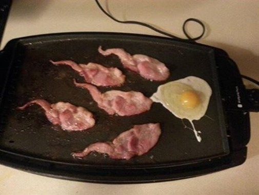 Still want that bacon and eggs?