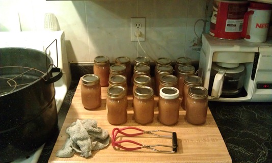 Applesauce All Done!