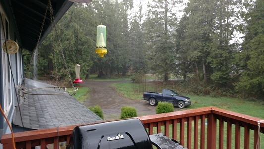 You Can't See It In This Picture, But, It Was Really Coming Down!