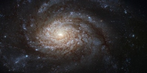 NGC_3810_captured_by_the_Hubble_Space_Telescope.jpg